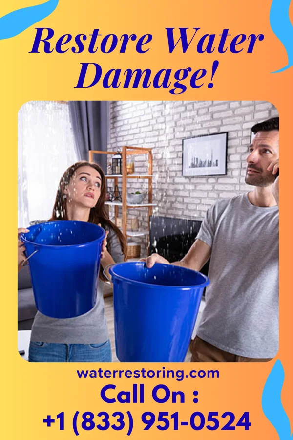 water restoration Ultimate Water Restoration Company White Pine