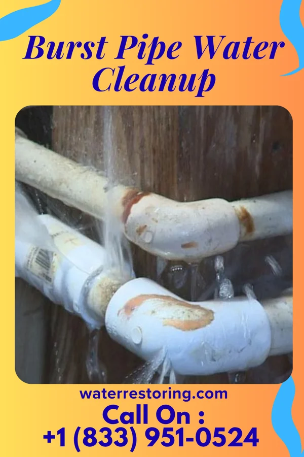 Burst Pipe Water Cleanup in White Pine, TN