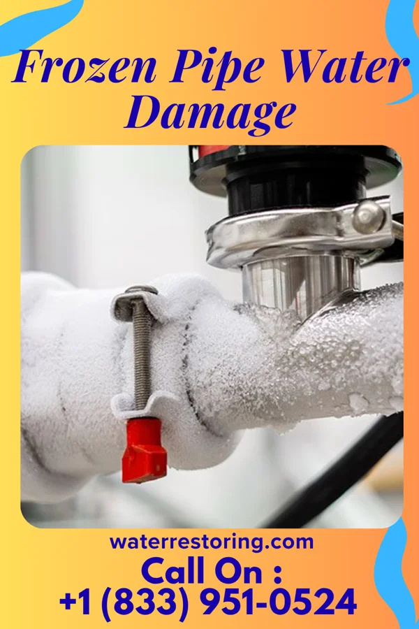 Frozen Pipe Water Damage in White Pine, TN