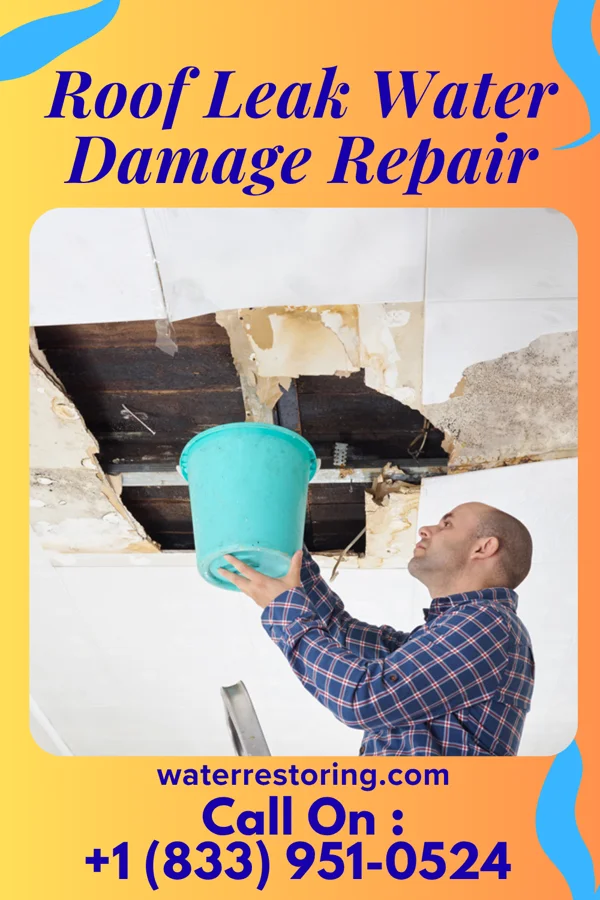 Roof Leak Water Damage Repair in White Pine, TN