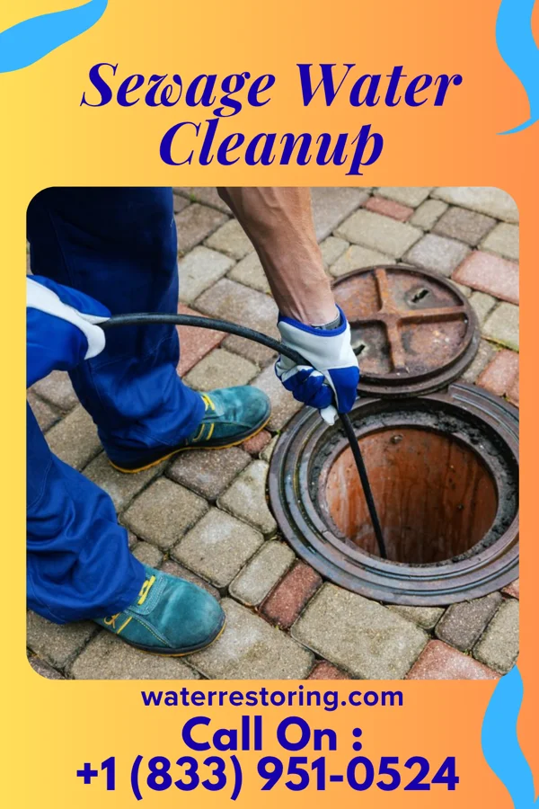 Sewage Water Cleanup in White Pine, TN